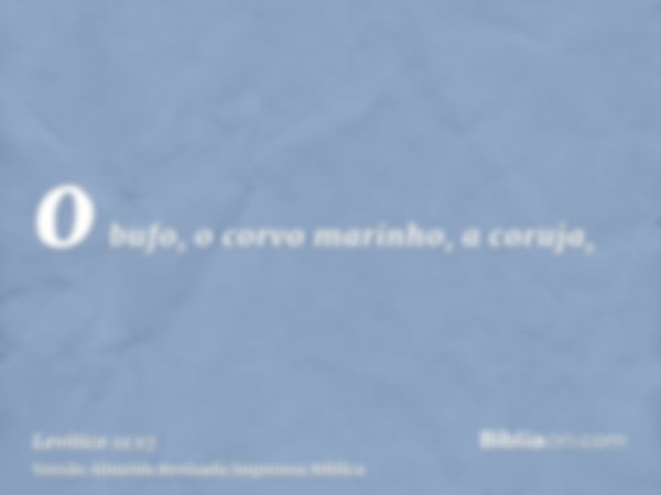 o bufo, o corvo marinho, a coruja,