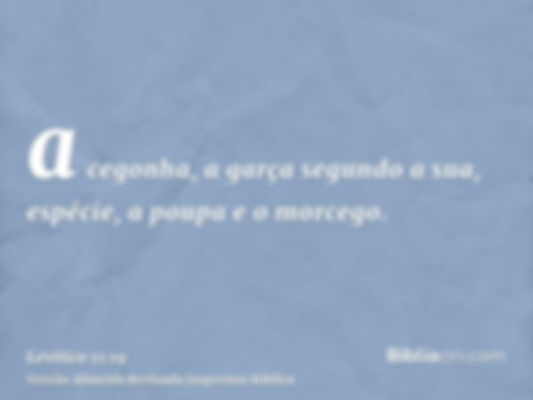 a cegonha, a garça segundo a sua, espécie, a poupa e o morcego.