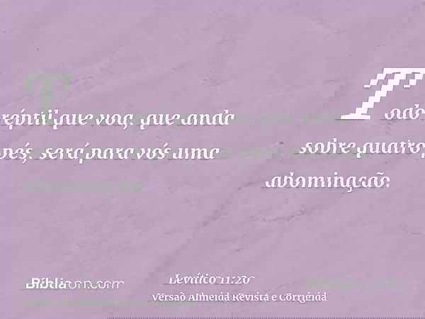 Todo réptil que voa, que anda sobre quatro pés, será para vós uma abominação.