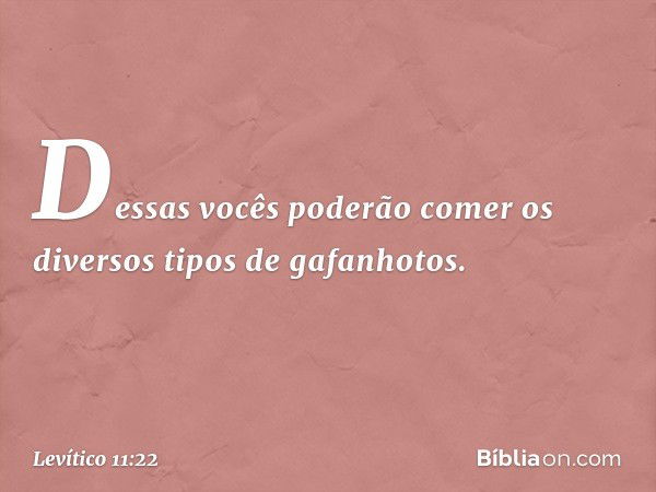 Dessas vocês poderão comer os diversos tipos de gafanhotos. -- Levítico 11:22