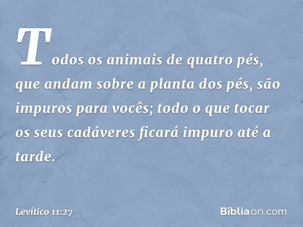 Todos os animais de quatro pés, que andam sobre a planta dos pés, são impuros para vocês; todo o que tocar os seus cadáveres ficará impuro até a tarde. -- Levít