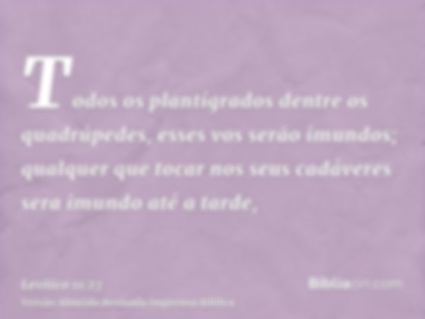 Todos os plantígrados dentre os quadrúpedes, esses vos serão imundos; qualquer que tocar nos seus cadáveres sera imundo até a tarde,