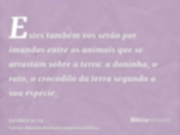 Estes também vos serão por imundos entre os animais que se arrastam sobre a terra: a doninha, o rato, o crocodilo da terra segundo a sua espécie,