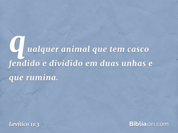 qualquer animal que tem casco fendido e dividido em duas unhas e que rumina. -- Levítico 11:3