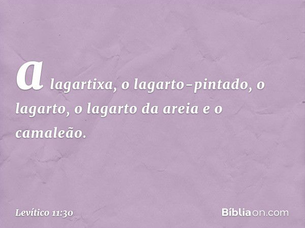 a lagartixa, o lagarto-pintado, o lagarto, o la­garto da areia e o camaleão. -- Levítico 11:30