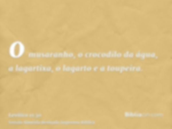 o musaranho, o crocodilo da água, a lagartixa, o lagarto e a toupeira.