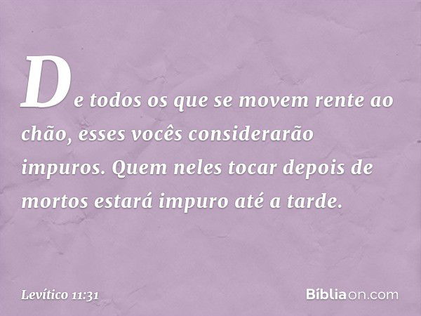 De todos os que se movem rente ao chão, esses vocês considera­rão impuros. Quem neles tocar depois de mor­tos estará impuro até a tarde. -- Levítico 11:31