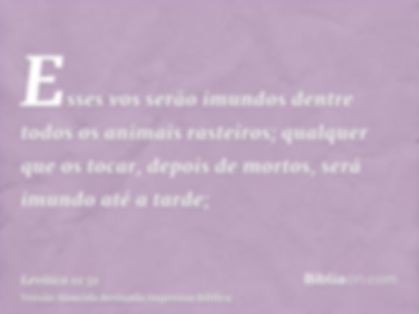 Esses vos serão imundos dentre todos os animais rasteiros; qualquer que os tocar, depois de mortos, será imundo até a tarde;