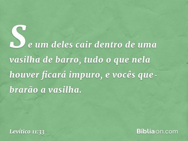 Se um deles cair dentro de uma vasilha de barro, tudo o que nela houver ficará impuro, e vocês que­brarão a vasilha. -- Levítico 11:33