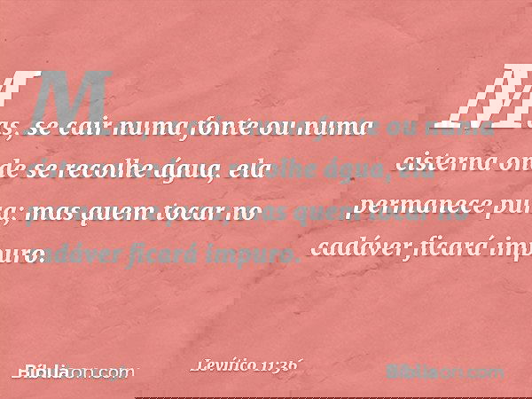 Mas, se cair numa fonte ou numa cisterna onde se recolhe água, ela permanece pura; mas quem tocar no cadáver ficará impuro. -- Levítico 11:36