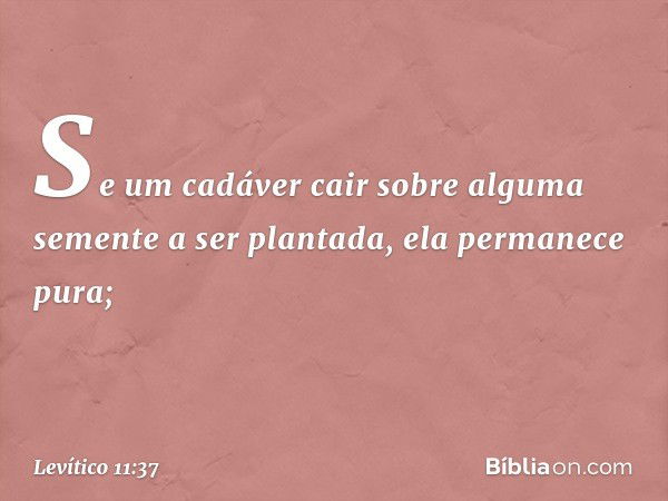 Se um cadáver cair sobre alguma semente a ser planta­da, ela permanece pura; -- Levítico 11:37