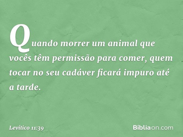 "Quando morrer um animal que vocês têm permissão para comer, quem tocar no seu cadáver ficará impuro até a tarde. -- Levítico 11:39