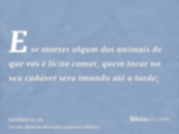 E se morrer algum dos animais de que vos é lícito comer, quem tocar no seu cadáver sera imundo até a tarde;