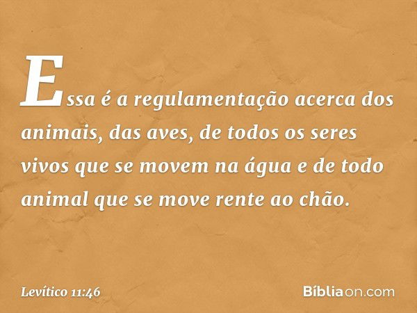 "Essa é a regulamentação acerca dos animais, das aves, de todos os seres vivos que se movem na água e de todo animal que se mo­ve rente ao chão. -- Levítico 11: