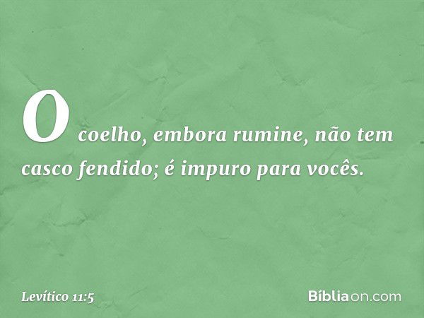 O coelho, embora rumine, não tem casco fendido; é impuro para vocês. -- Levítico 11:5