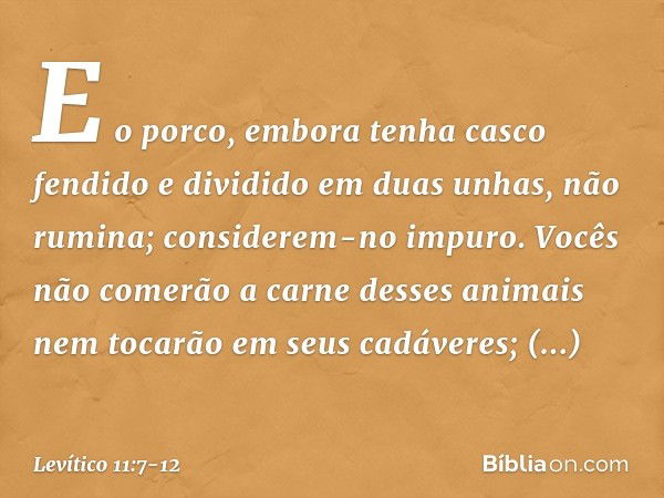 E o porco, embora tenha casco fendido e dividido em duas unhas, não rumina; considerem-no impuro. Vo­cês não comerão a carne desses animais nem tocarão em seus 