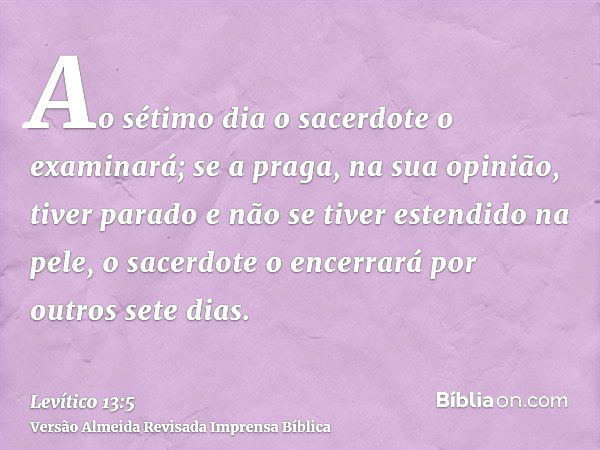 Patsi elogia reforço da Spirit e fala sobre viver na Sérvia: É