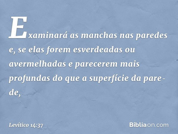 Examinará as manchas nas paredes e, se elas forem esverdeadas ou avermelhadas e parece­rem mais profundas do que a superfície da pare­de, -- Levítico 14:37