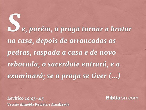 Se, porém, a praga tornar a brotar na casa, depois de arrancadas as pedras, raspada a casa e de novo rebocada,o sacerdote entrará, e a examinará; se a praga se 