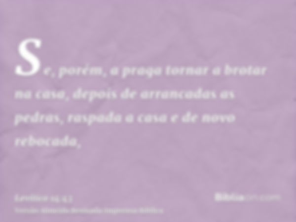 Se, porém, a praga tornar a brotar na casa, depois de arrancadas as pedras, raspada a casa e de novo rebocada,