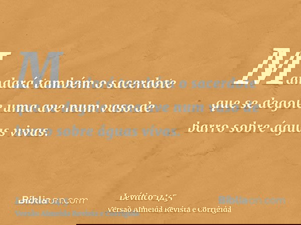 Mandará também o sacerdote que se degole uma ave num vaso de barro sobre águas vivas.