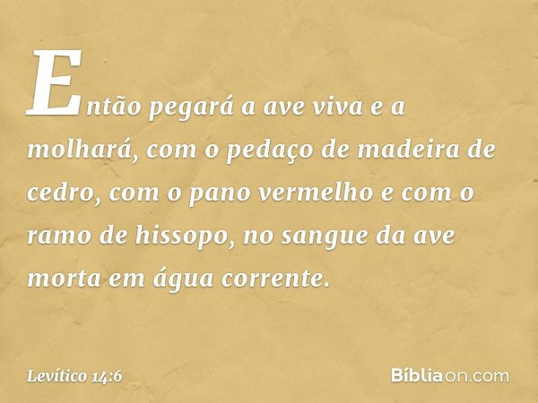 Então pegará a ave viva e a molhará, com o pedaço de madeira de cedro, com o pano vermelho e com o ramo de hissopo, no sangue da ave morta em água corrente. -- 