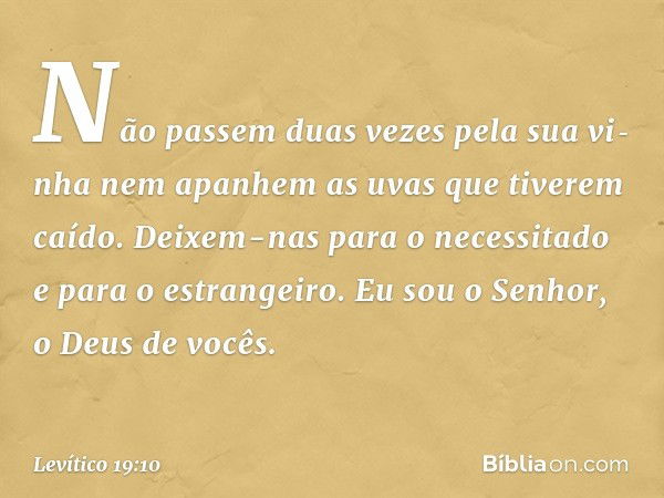 Não passem duas vezes pela sua vi­nha nem apanhem as uvas que tiverem caído. Deixem-nas para o necessitado e para o estran­geiro. Eu sou o Senhor, o Deus de voc