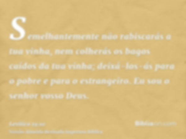 Semelhantemente não rabiscarás a tua vinha, nem colherás os bagos caídos da tua vinha; deixá-los-ás para o pobre e para o estrangeiro. Eu sou o senhor vosso Deu