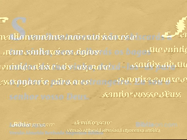 Semelhantemente não rabiscarás a tua vinha, nem colherás os bagos caídos da tua vinha; deixá-los-ás para o pobre e para o estrangeiro. Eu sou o senhor vosso Deu