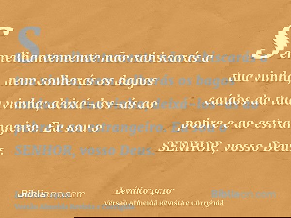Semelhantemente não rabiscarás a tua vinha, nem colherás os bagos caídos da tua vinha; deixá-los-ás ao pobre e ao estrangeiro. Eu sou o SENHOR, vosso Deus.