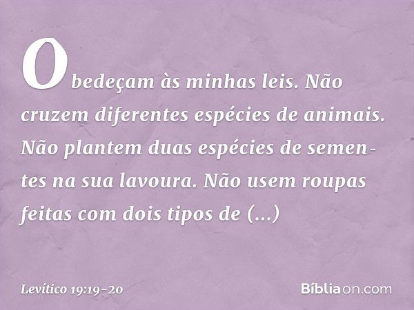 "Obedeçam às minhas leis.
"Não cruzem diferentes espécies de animais.
"Não plantem duas espécies de semen­tes na sua lavoura.
"Não usem roupas feitas com dois t