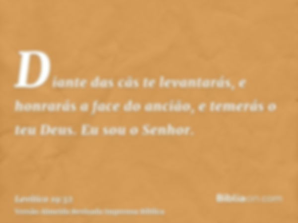 Diante das cãs te levantarás, e honrarás a face do ancião, e temerás o teu Deus. Eu sou o Senhor.