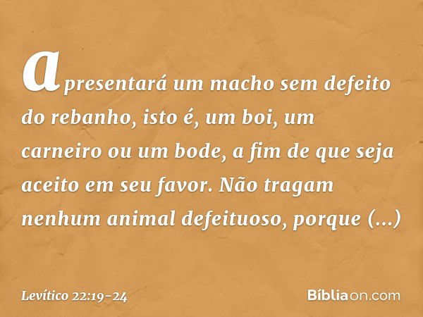 a­presentará um macho sem defeito do rebanho, isto é, um boi, um carneiro ou um bode, a fim de que seja aceito em seu favor. Não tragam nenhum animal defeituoso