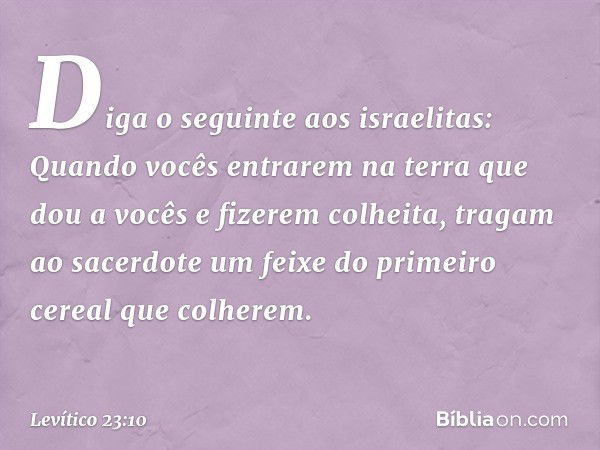 "Diga o seguinte aos israelitas: Quando vocês entrarem na terra que dou a vocês e fizerem colheita, tragam ao sacerdote um feixe do primeiro cereal que colherem