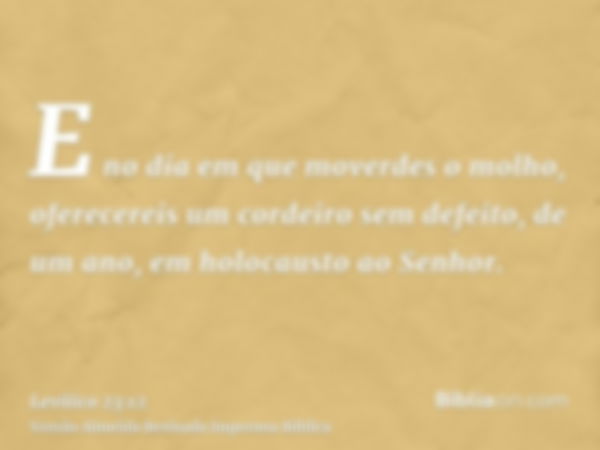 E no dia em que moverdes o molho, oferecereis um cordeiro sem defeito, de um ano, em holocausto ao Senhor.