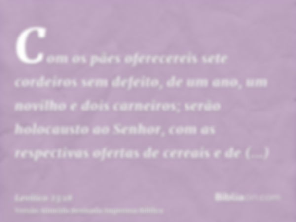 Com os pães oferecereis sete cordeiros sem defeito, de um ano, um novilho e dois carneiros; serão holocausto ao Senhor, com as respectivas ofertas de cereais e 