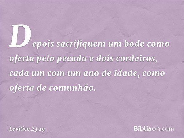 Depois sacrifiquem um bode co­mo oferta pelo pecado e dois cordeiros, cada um com um ano de idade, como oferta de co­munhão. -- Levítico 23:19