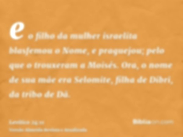 e o filho da mulher israelita blasfemou o Nome, e praguejou; pelo que o trouxeram a Moisés. Ora, o nome de sua mãe era Selomite, filha de Dibri, da tribo de Dã.
