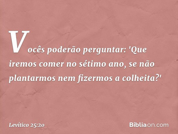 Vocês poderão perguntar: 'Que iremos comer no sétimo ano, se não plantarmos nem fizermos a colheita?' -- Levítico 25:20