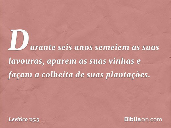 Duran­te seis anos semeiem as suas lavouras, aparem as suas vinhas e façam a colhei­ta de suas plantações. -- Levítico 25:3