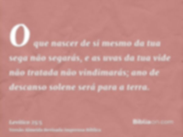 O que nascer de si mesmo da tua sega não segarás, e as uvas da tua vide não tratada não vindimarás; ano de descanso solene será para a terra.