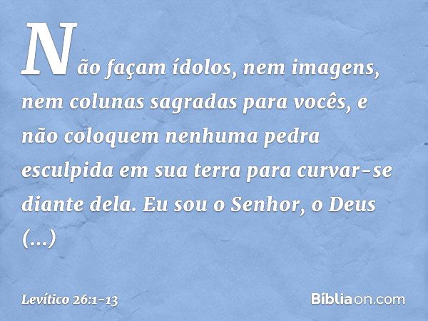 "Não façam ídolos, nem imagens, nem colunas sagradas para vocês, e não colo­quem nenhuma pedra esculpida em sua terra para curvar-se diante dela. Eu sou o Senho