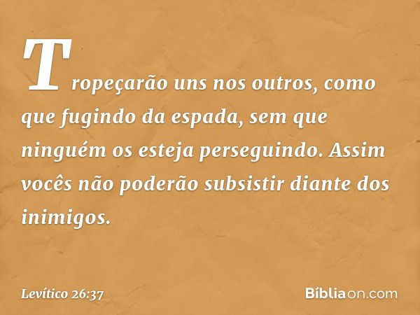 Tropeçarão uns nos outros, como que fugindo da espada, sem que ninguém os esteja perseguindo. Assim vocês não poderão subsistir diante dos inimigos. -- Levítico