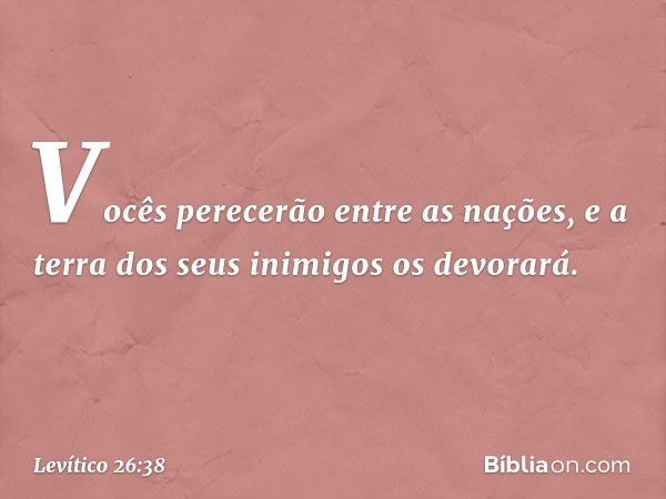 Vo­cês perecerão entre as nações, e a terra dos seus inimigos os devorará. -- Levítico 26:38