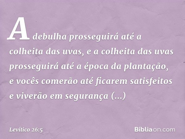 A debulha prosseguirá até a colheita das uvas, e a colheita das uvas prosseguirá até a época da plantação, e vocês comerão até ficarem satisfeitos e vive­rão em