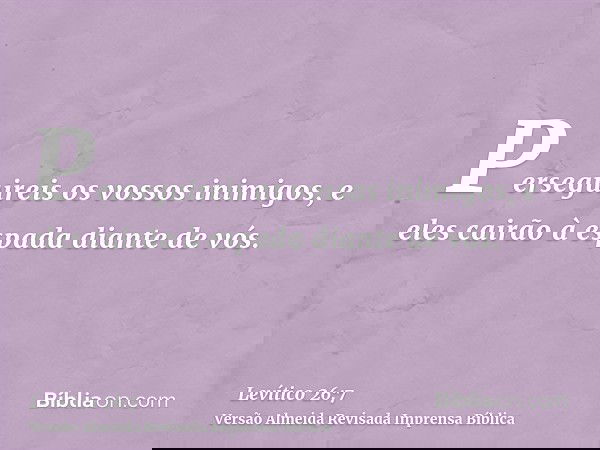 Perseguireis os vossos inimigos, e eles cairão à espada diante de vós.