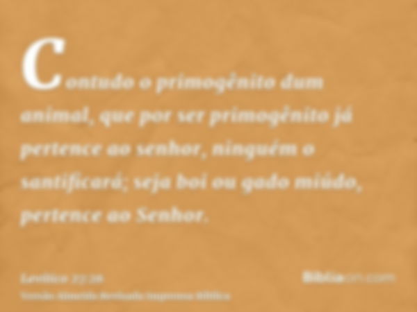 Contudo o primogênito dum animal, que por ser primogênito já pertence ao senhor, ninguém o santificará; seja boi ou gado miúdo, pertence ao Senhor.