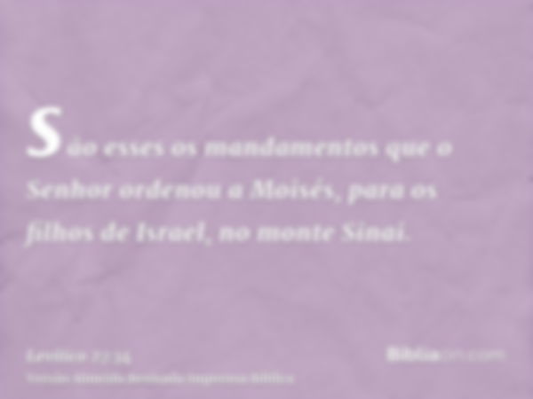 são esses os mandamentos que o Senhor ordenou a Moisés, para os filhos de Israel, no monte Sinai.