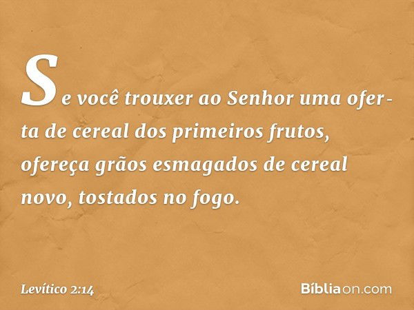 "Se você trouxer ao Senhor uma ofer­ta de cereal dos primeiros frutos, ofereça grãos esmagados de cereal novo, tostados no fogo. -- Levítico 2:14