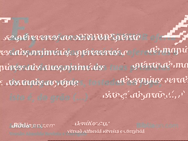 E, se ofereceres ao SENHOR oferta de manjares das primícias, oferecerás a oferta de manjares das tuas primícias de espigas verdes, tostadas ao fogo, isto é, do